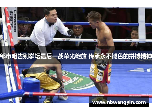 邹市明告别拳坛最后一战荣光绽放 传承永不褪色的拼搏精神