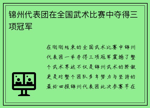 锦州代表团在全国武术比赛中夺得三项冠军