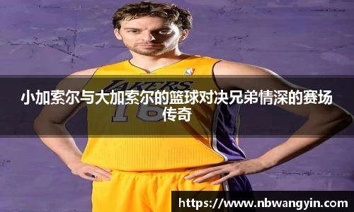 678体育手机下载